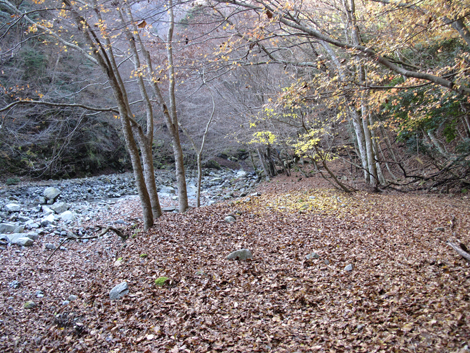 20161206hike (44)